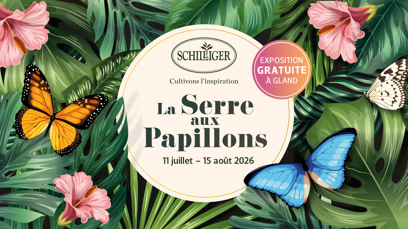 La Serre aux Papillons