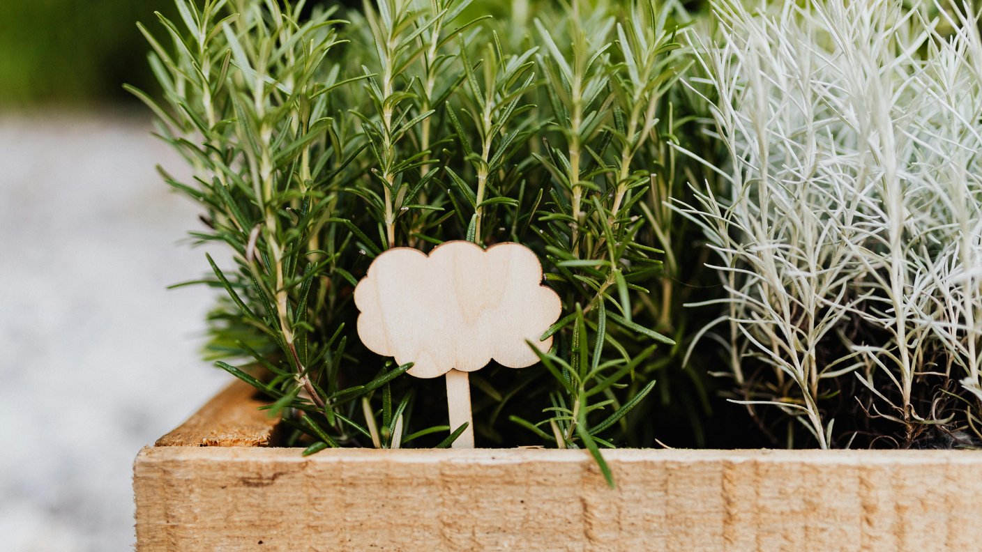 Atelier adulte composition d'aromatiques