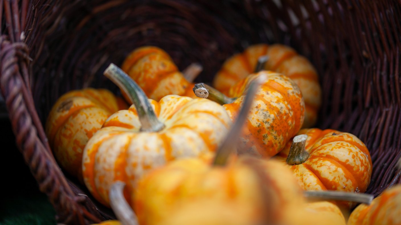 Atelier adulte création d'une courge fleurie