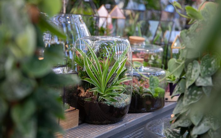 Atelier adulte création de terrarium
