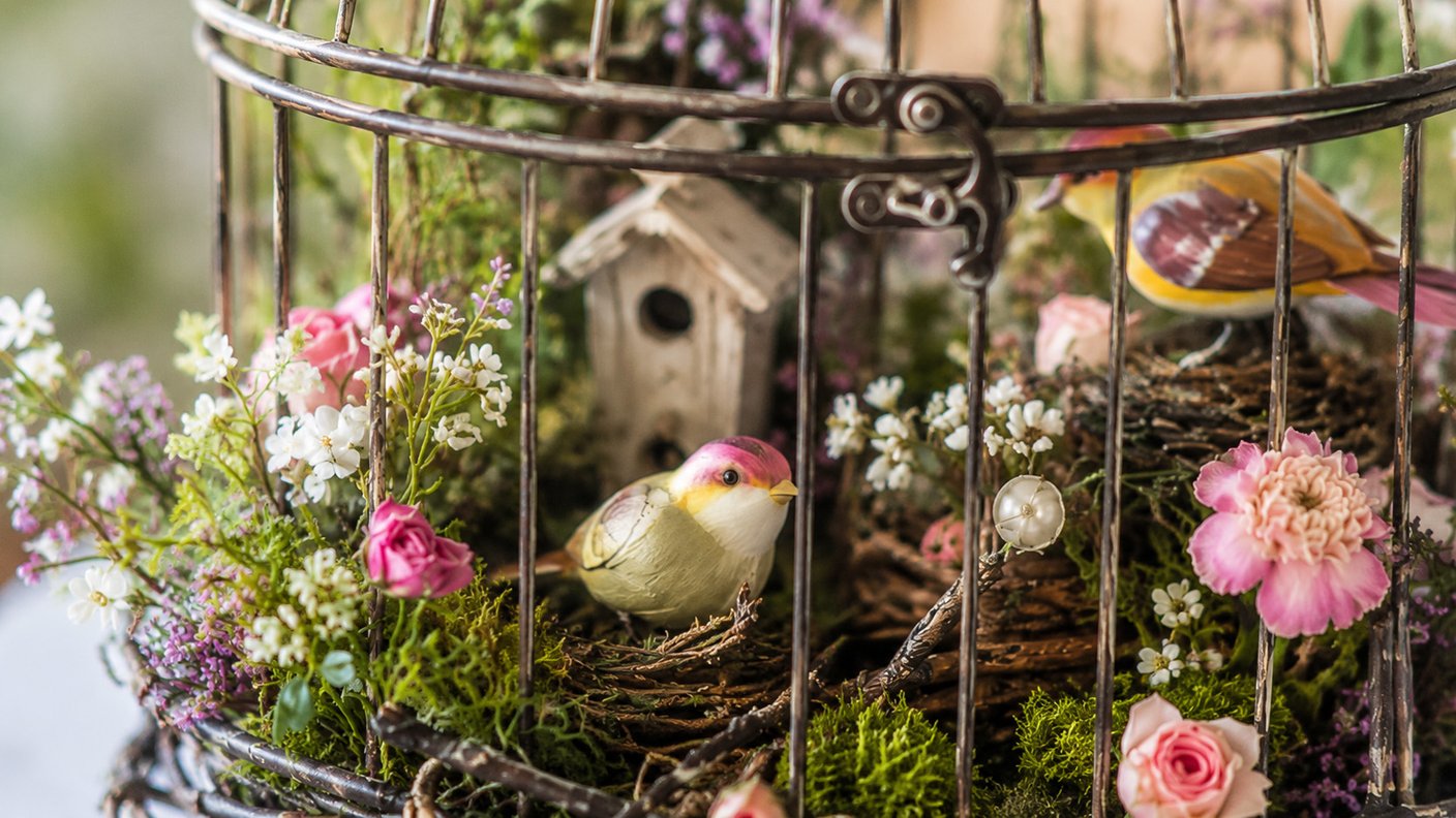 Atelier enfant La cage à oiseaux "enchantée"