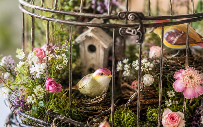 Atelier enfant La cage à oiseaux "enchantée"
