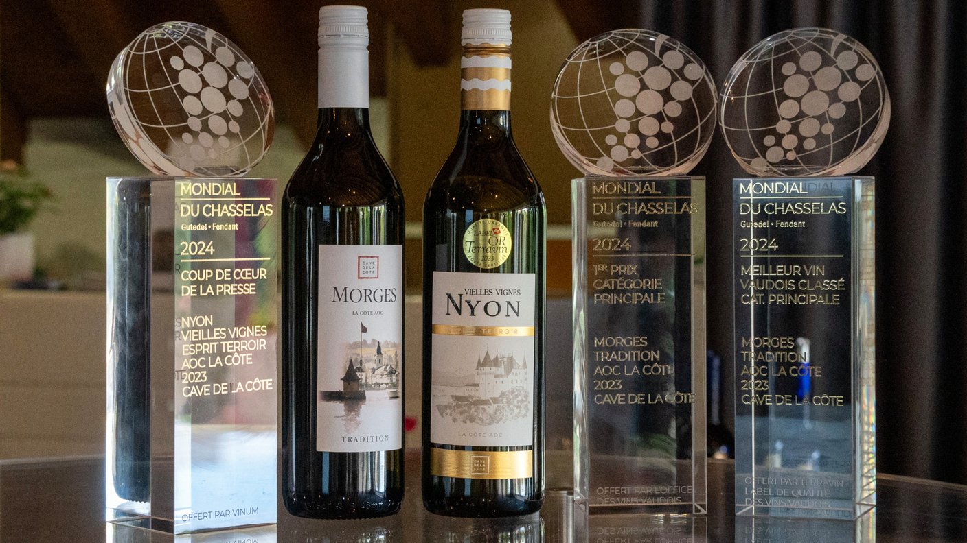 Dégustation Cave de La Côte