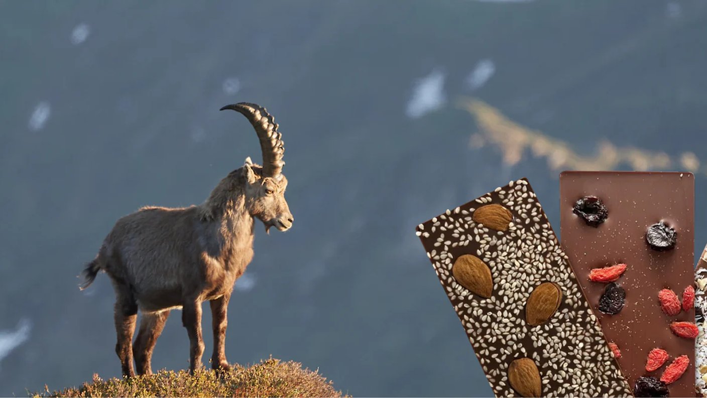 Dégustation GOOD CHOCO