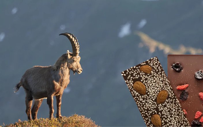 Dégustation GOOD CHOCO