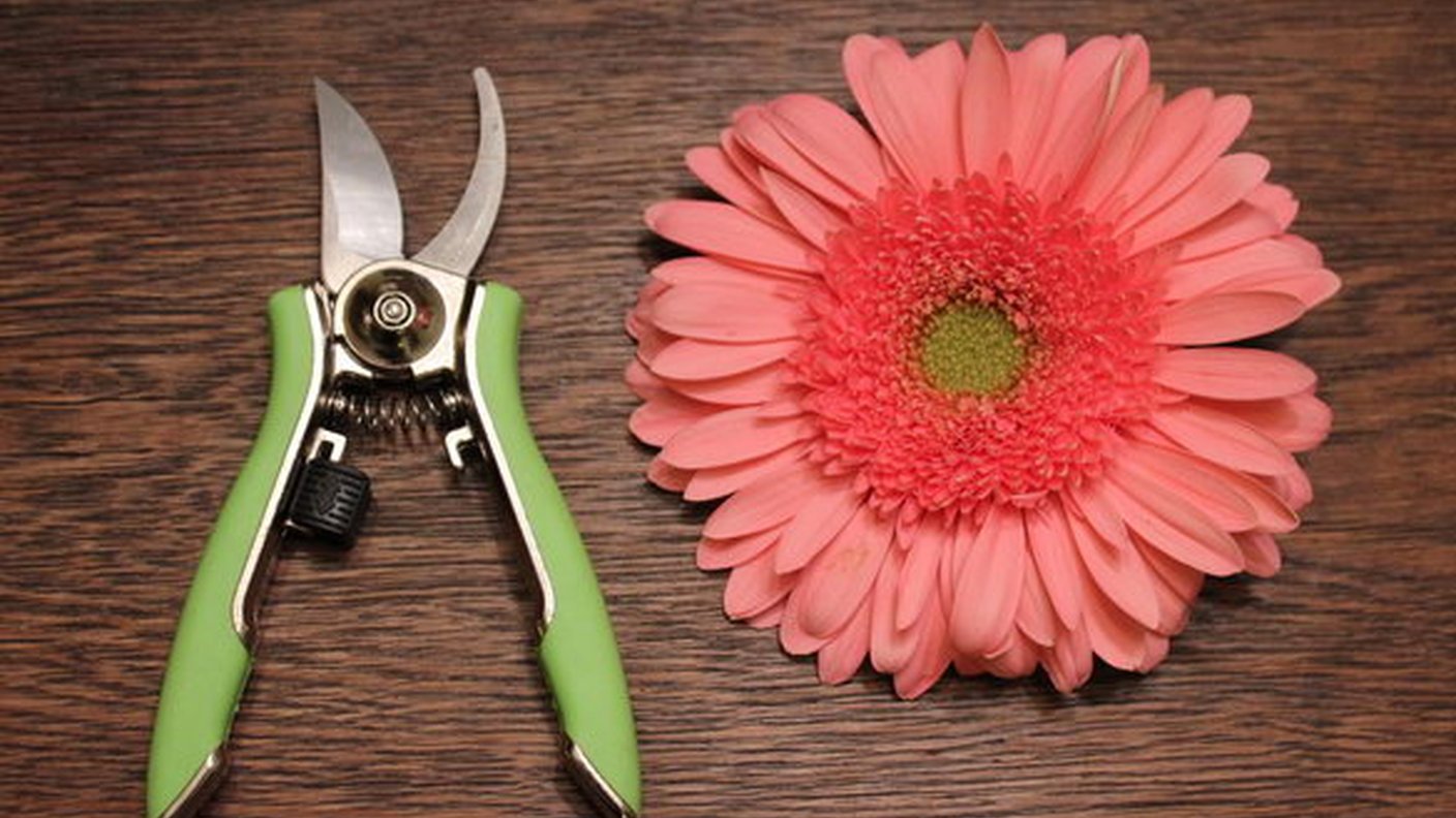 Leyat, sécateurs de qualité