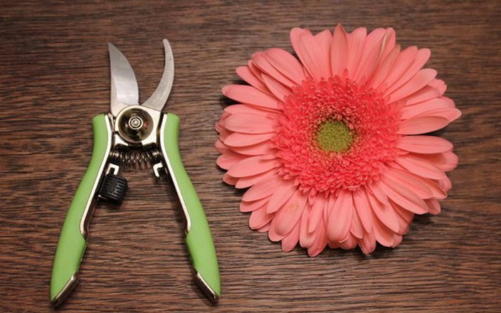 Leyat, sécateurs de qualité