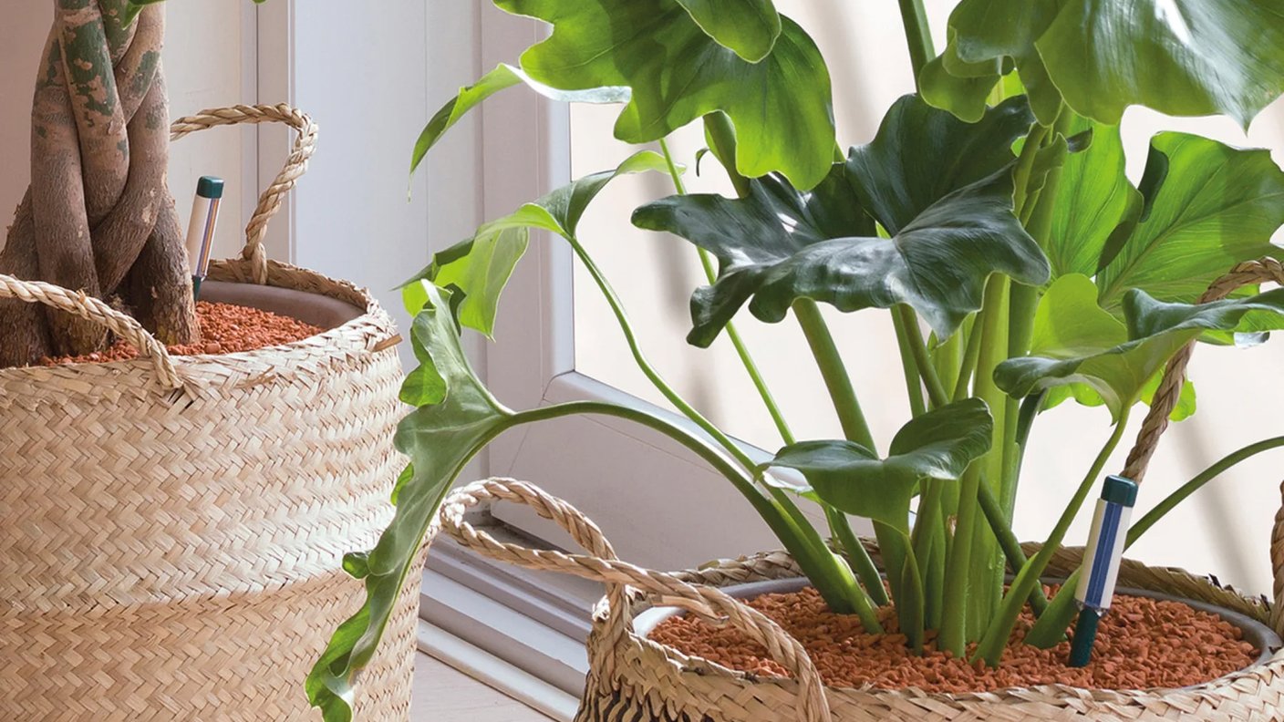 Démonstration des produits Westland