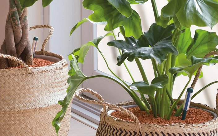 Démonstration des produits Westland