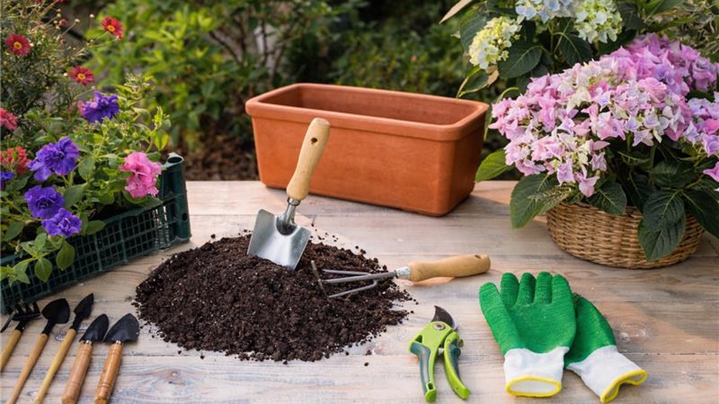 Plantation gratuite de vos terrines & balconnières