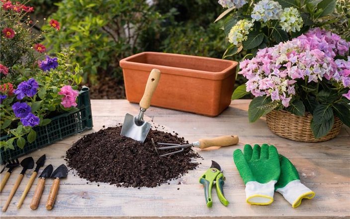 Plantation gratuite de vos terrines & balconnières