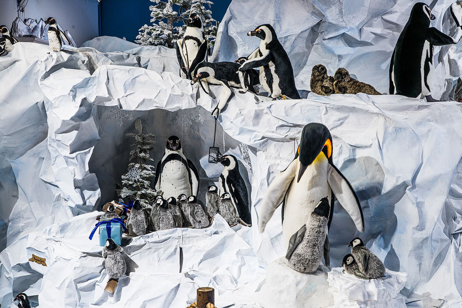Décoration Noël aux confins des océans chez Schilliger en 2021