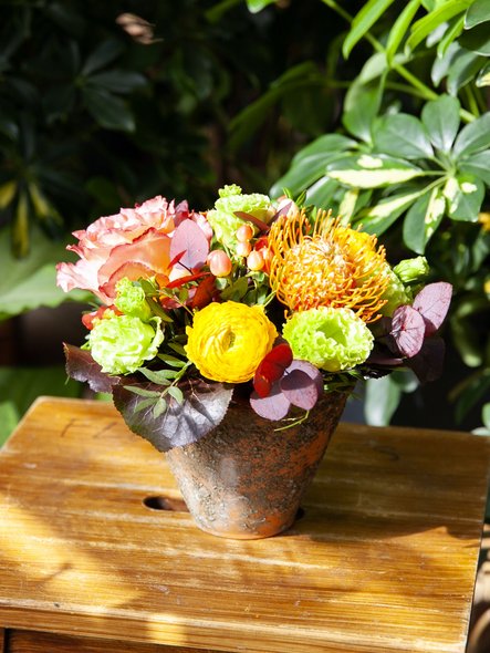 Arrangement coloré