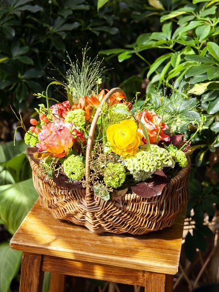Panier coloré


 

