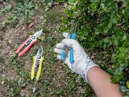 Jardinage & outils
