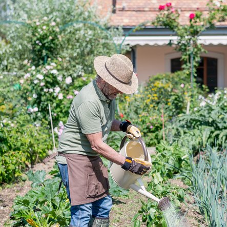 De la terre à l'assiette
