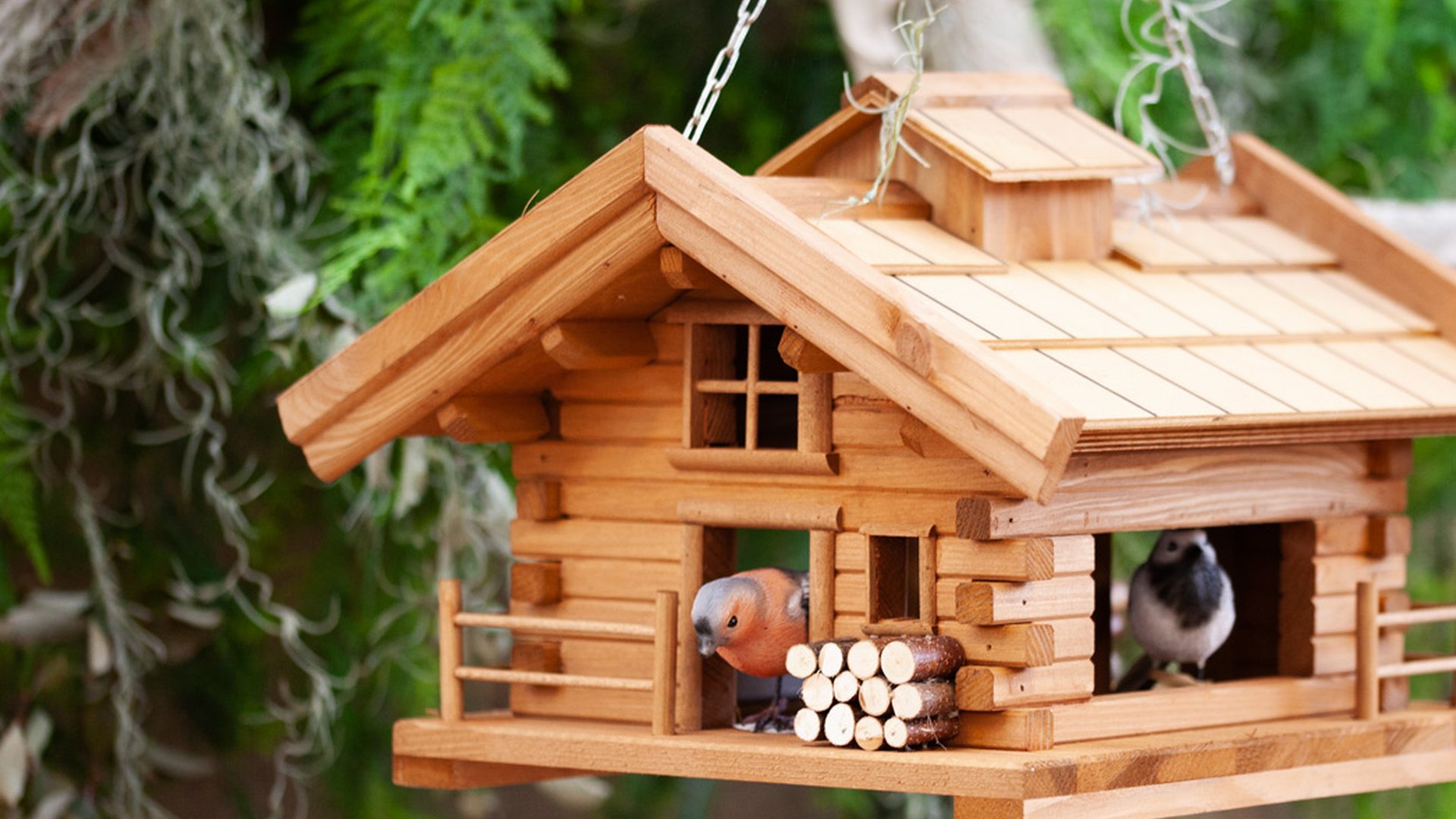 Abris & soins des animaux extérieur