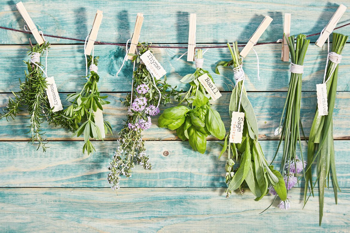 Conserver ses plantes aromatiques par séchage