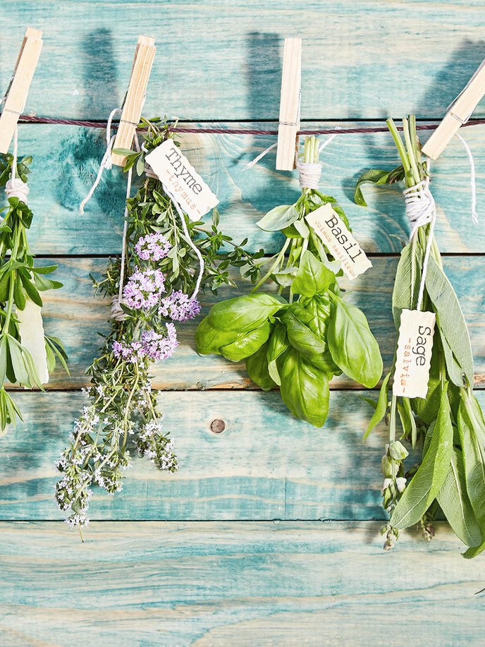 Comment conserver ses plantes aromatiques?