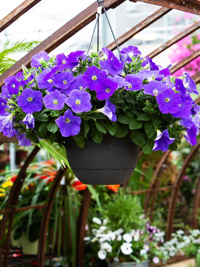 Tous nos conseils pour aménager votre balcon ou votre terrasse


 
