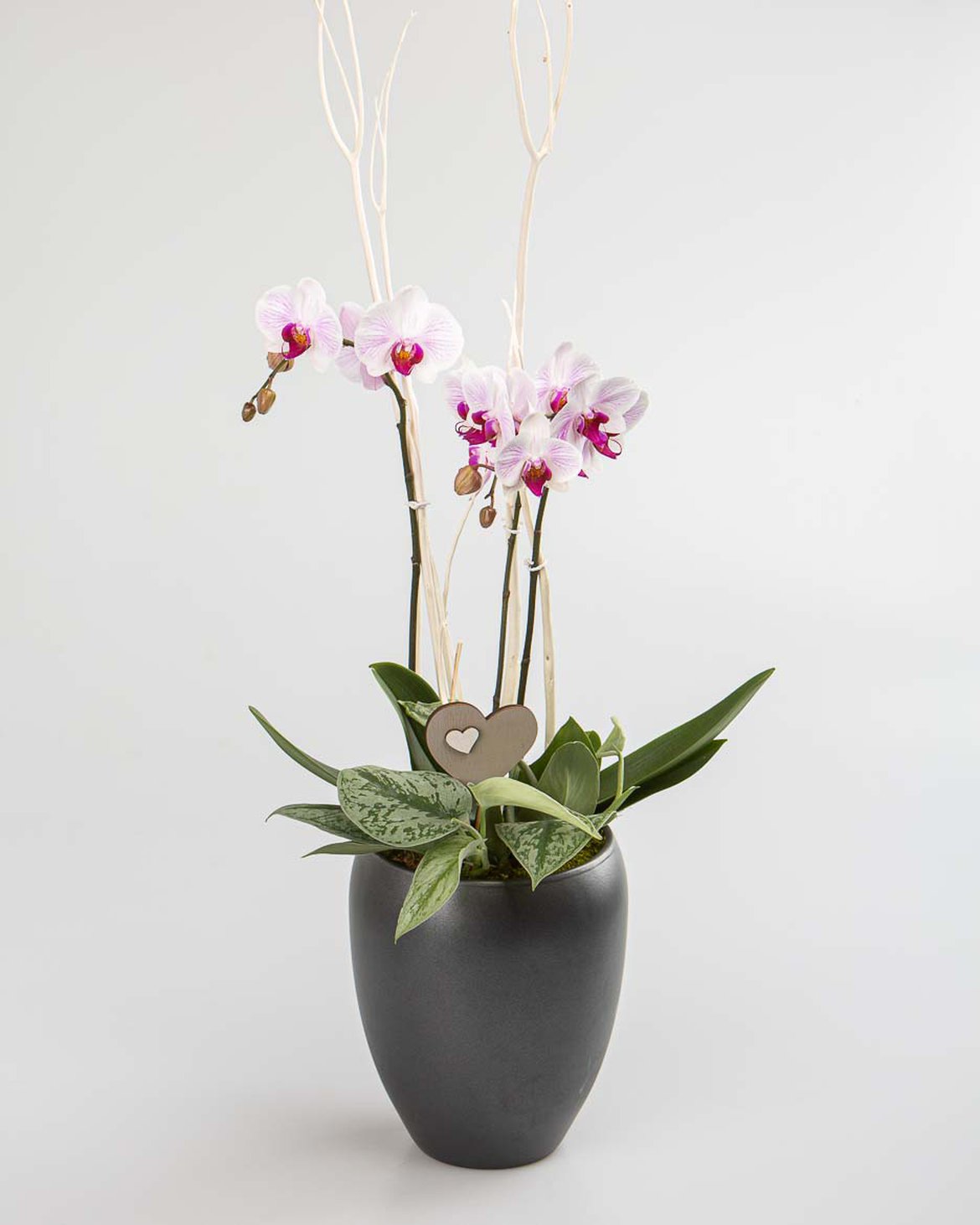 Confection d'orchidées