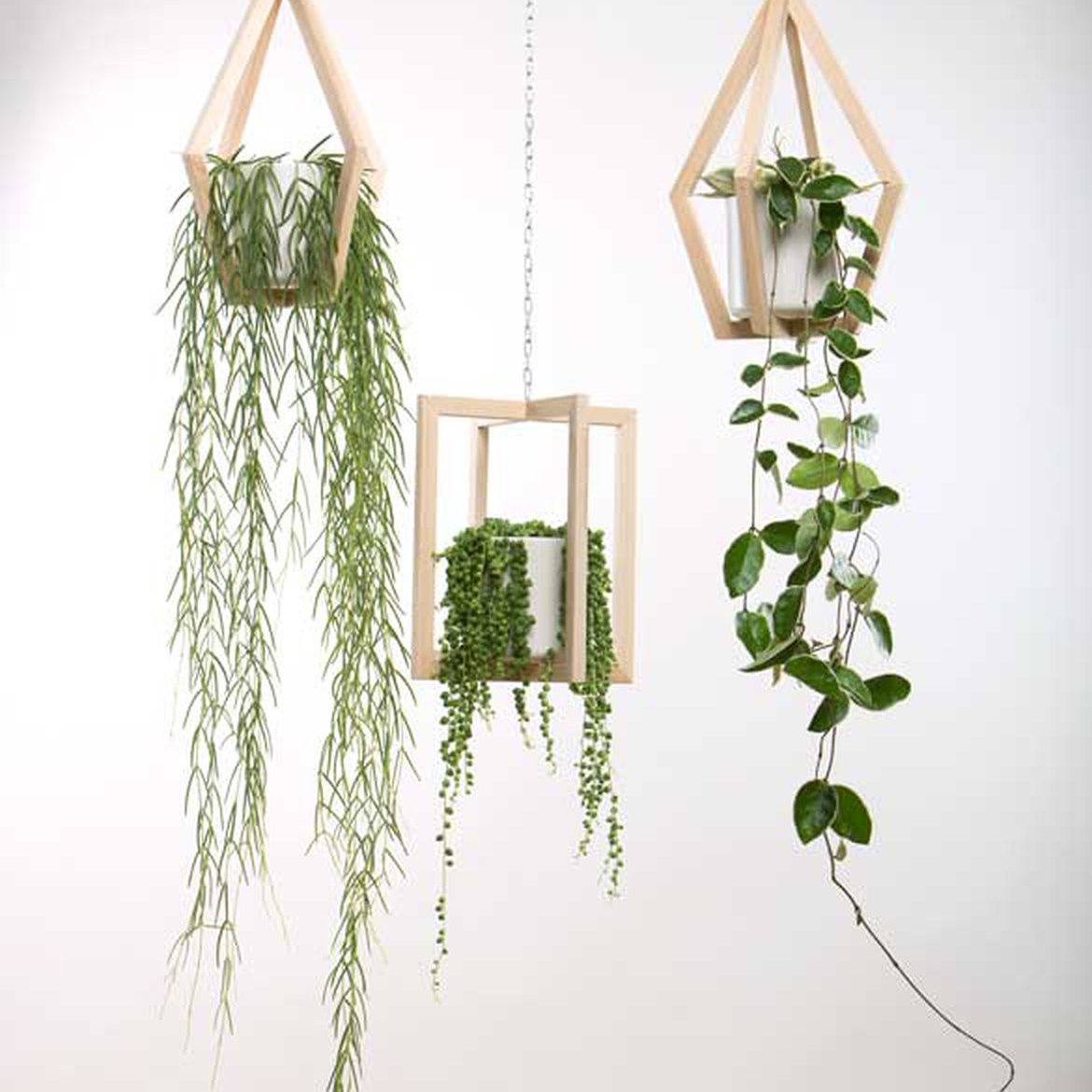 Blog - Ajouter du végétal à sa décoration d'intérieur - Schilliger