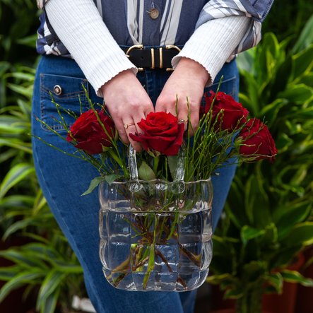 Roses en transparence