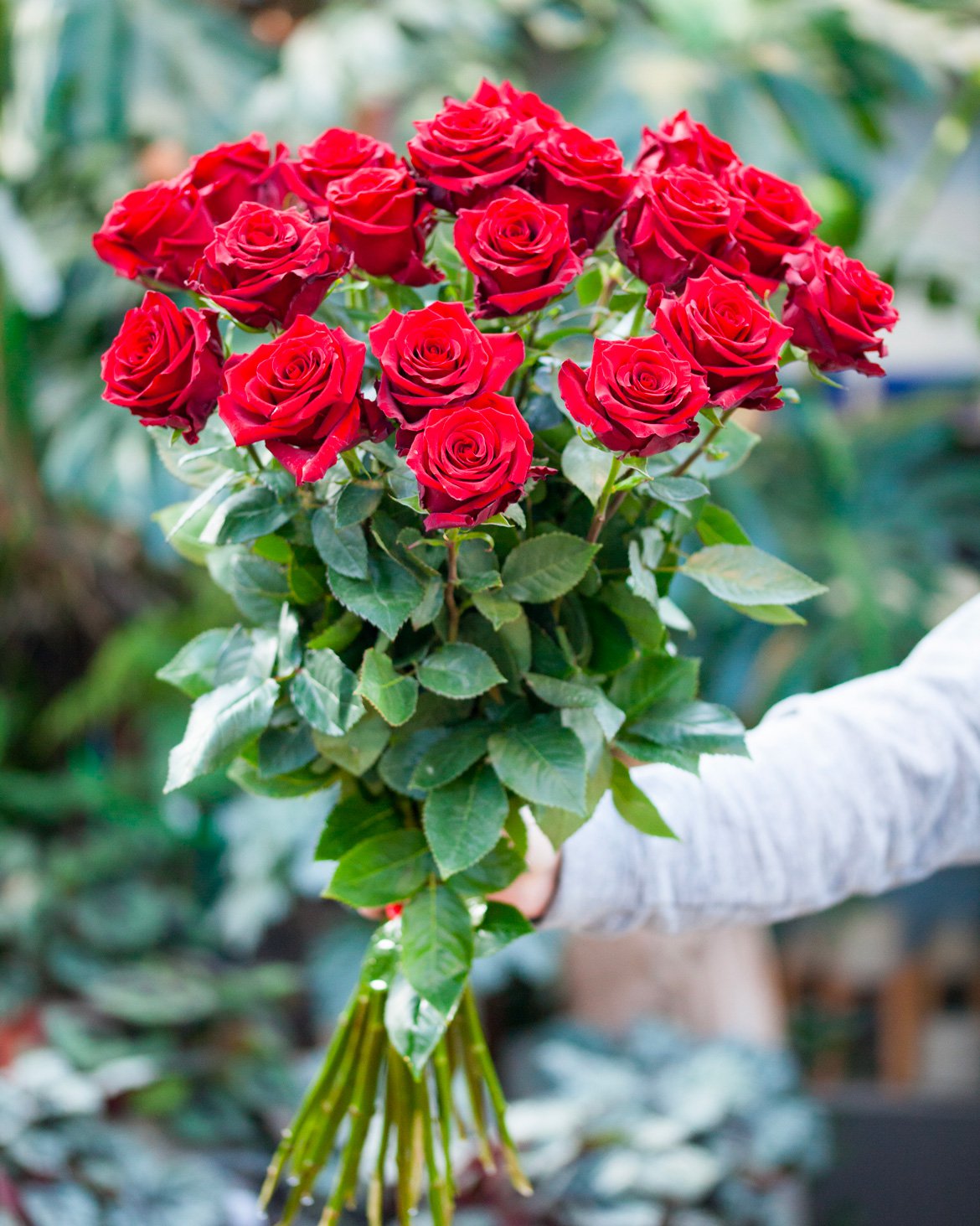 Bouquet de 20 roses rouges avec une longue tige pour la Saint-Valentin - Schilliger Fleurs à Gland