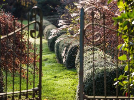 

Comment prendre soin de son jardin à l’automne