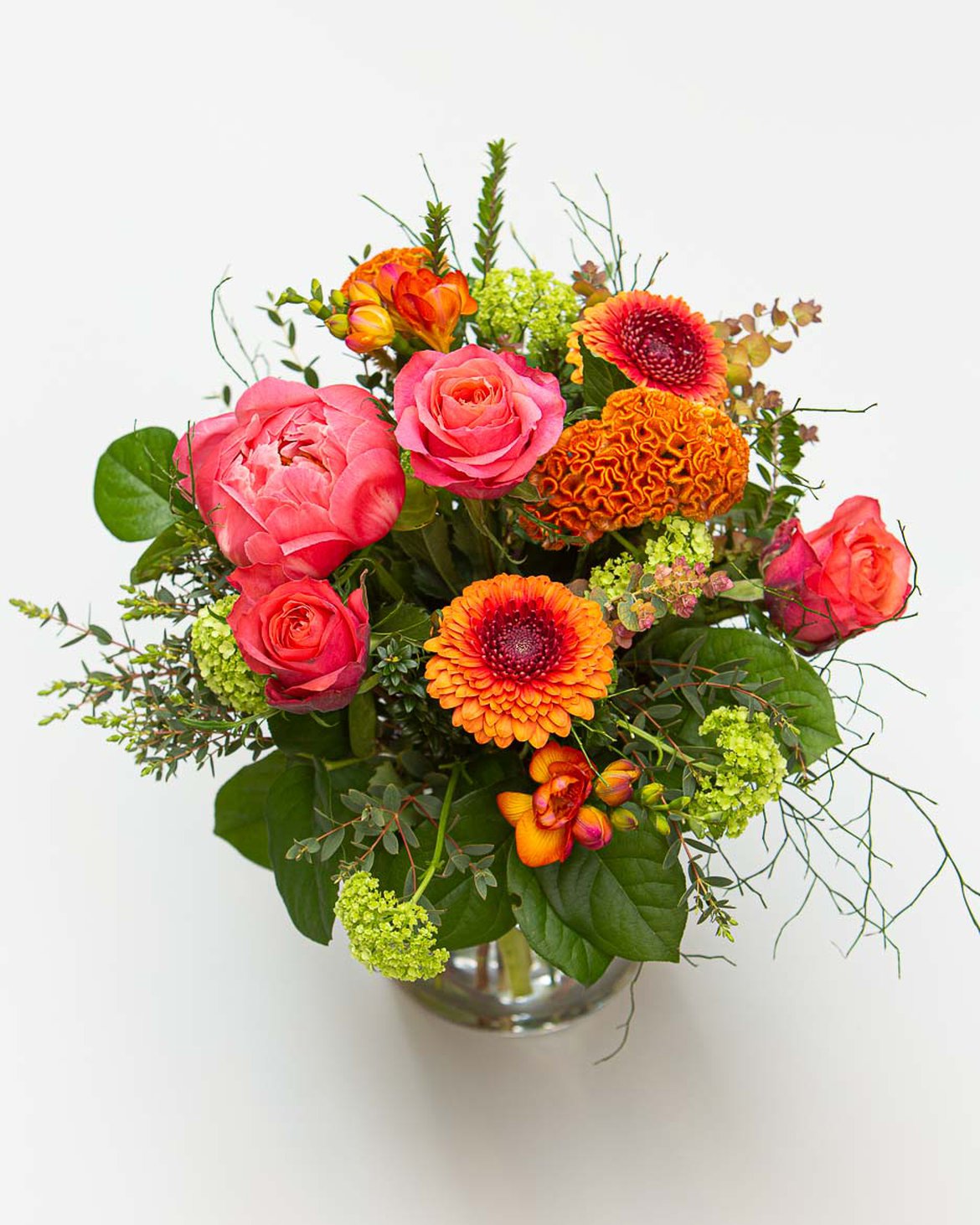 Bouquet rond avec germinis et roses 'Constanza'