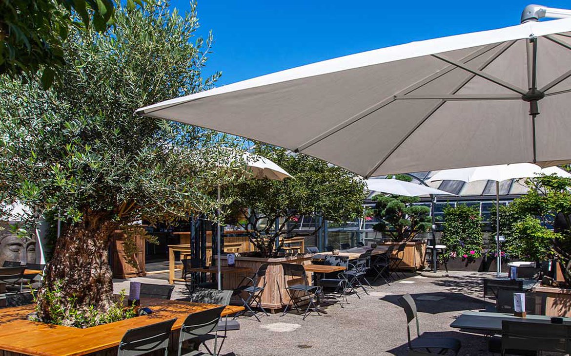Terrasse ombragée - Restaurant Café Agnès - Gland
