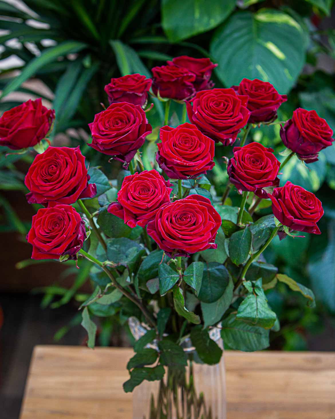 Bouquet de 15 roses rouges
