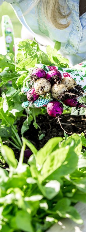 Pour aller plus loin...