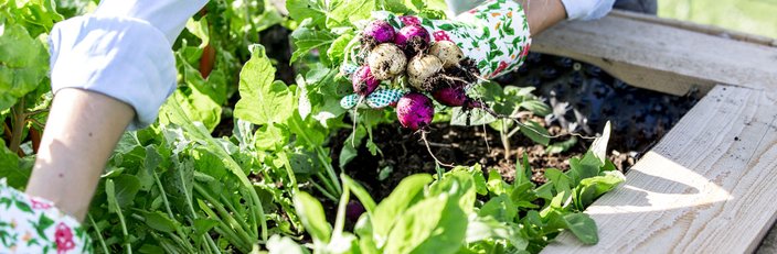 Pour aller plus loin...