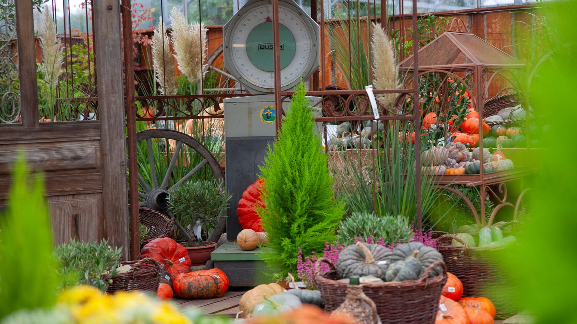 Un automne gourmand