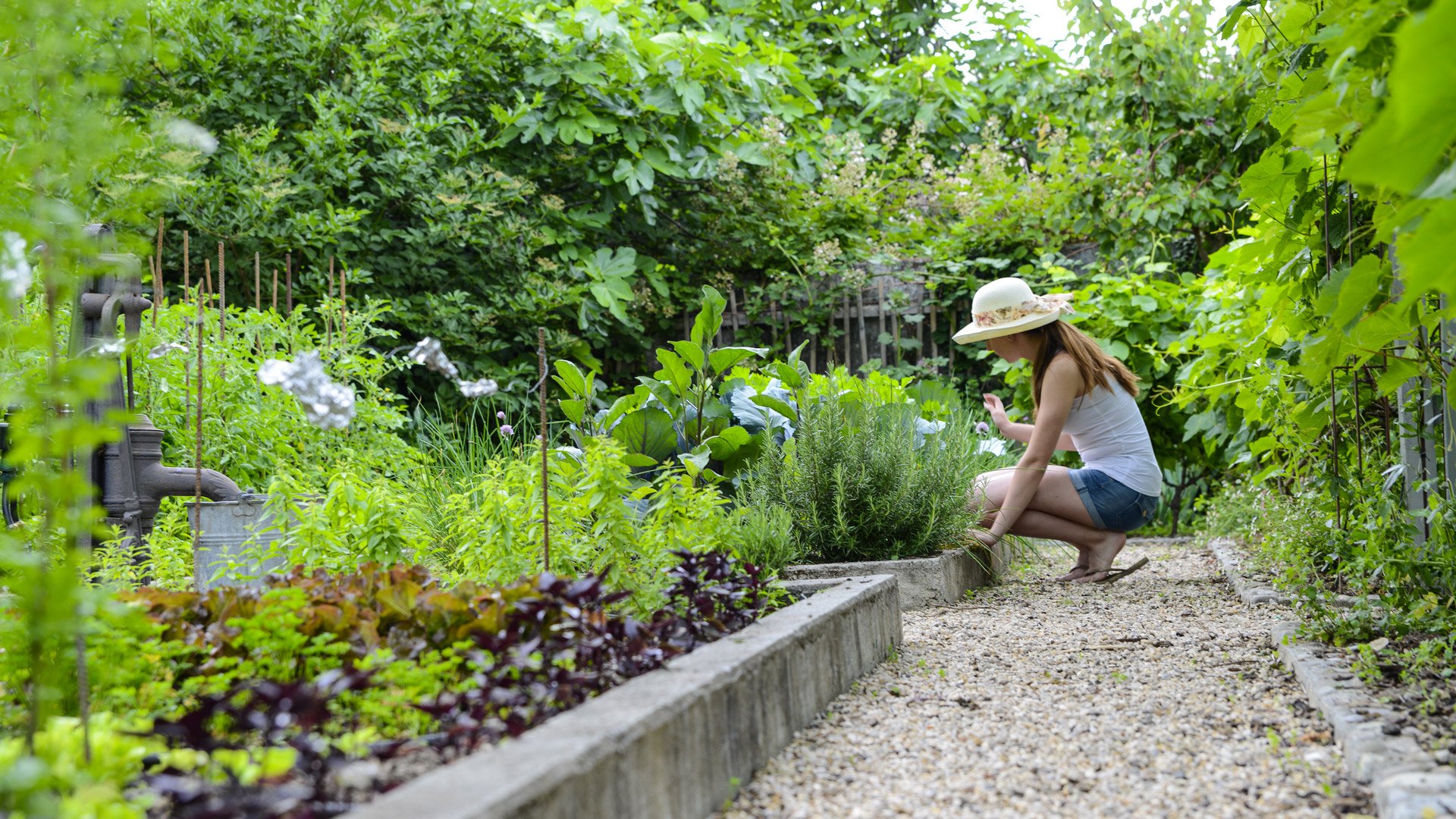 De la terre à l'assiette