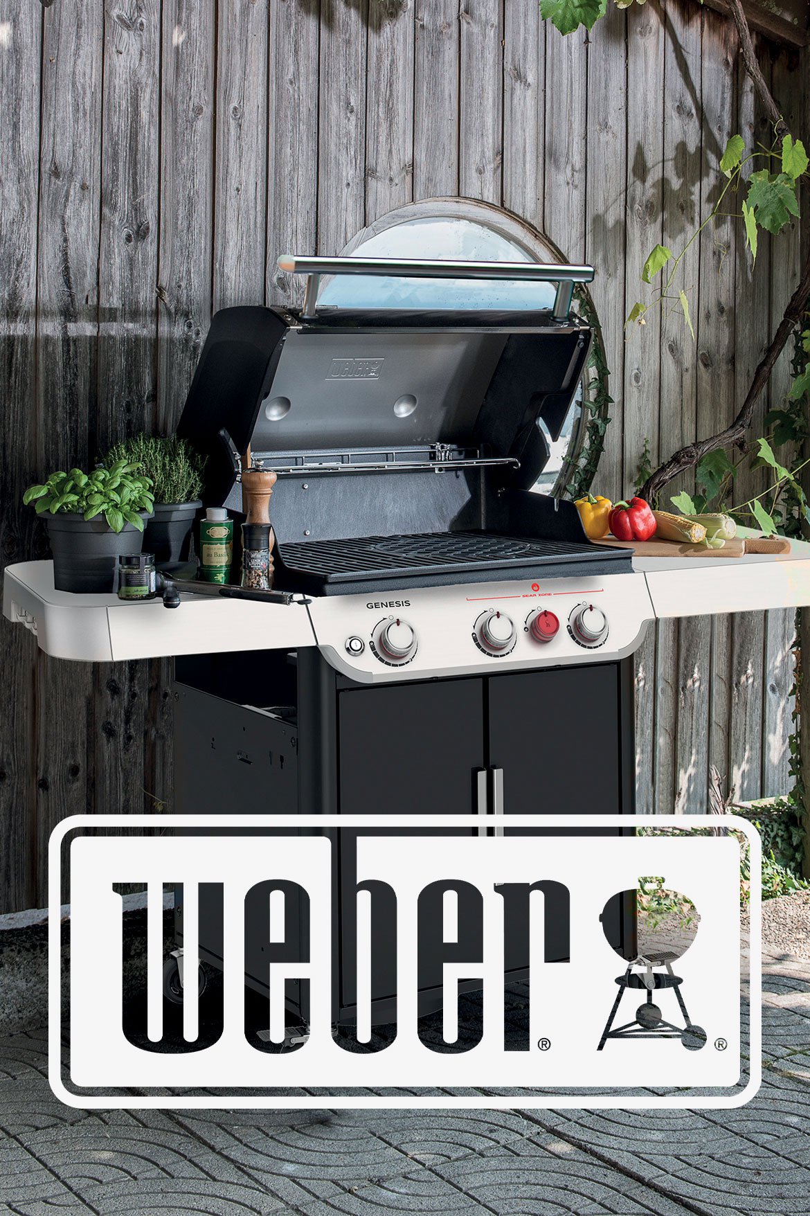 Weber - Leader du gril, barbecue - Schilliger