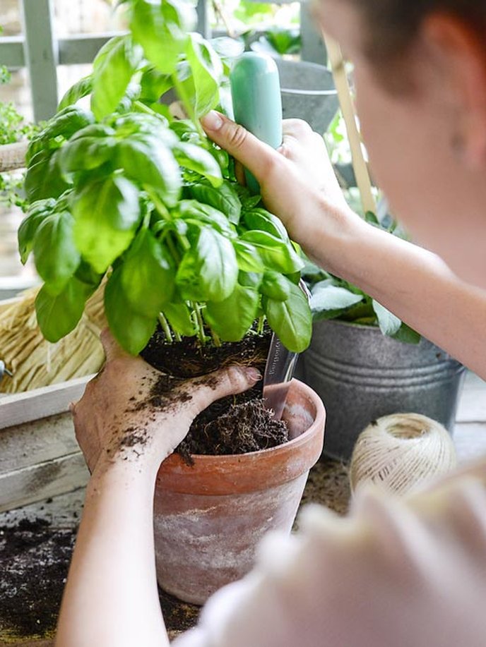 Quel matériel utiliser pour créer son potager de balcon ?