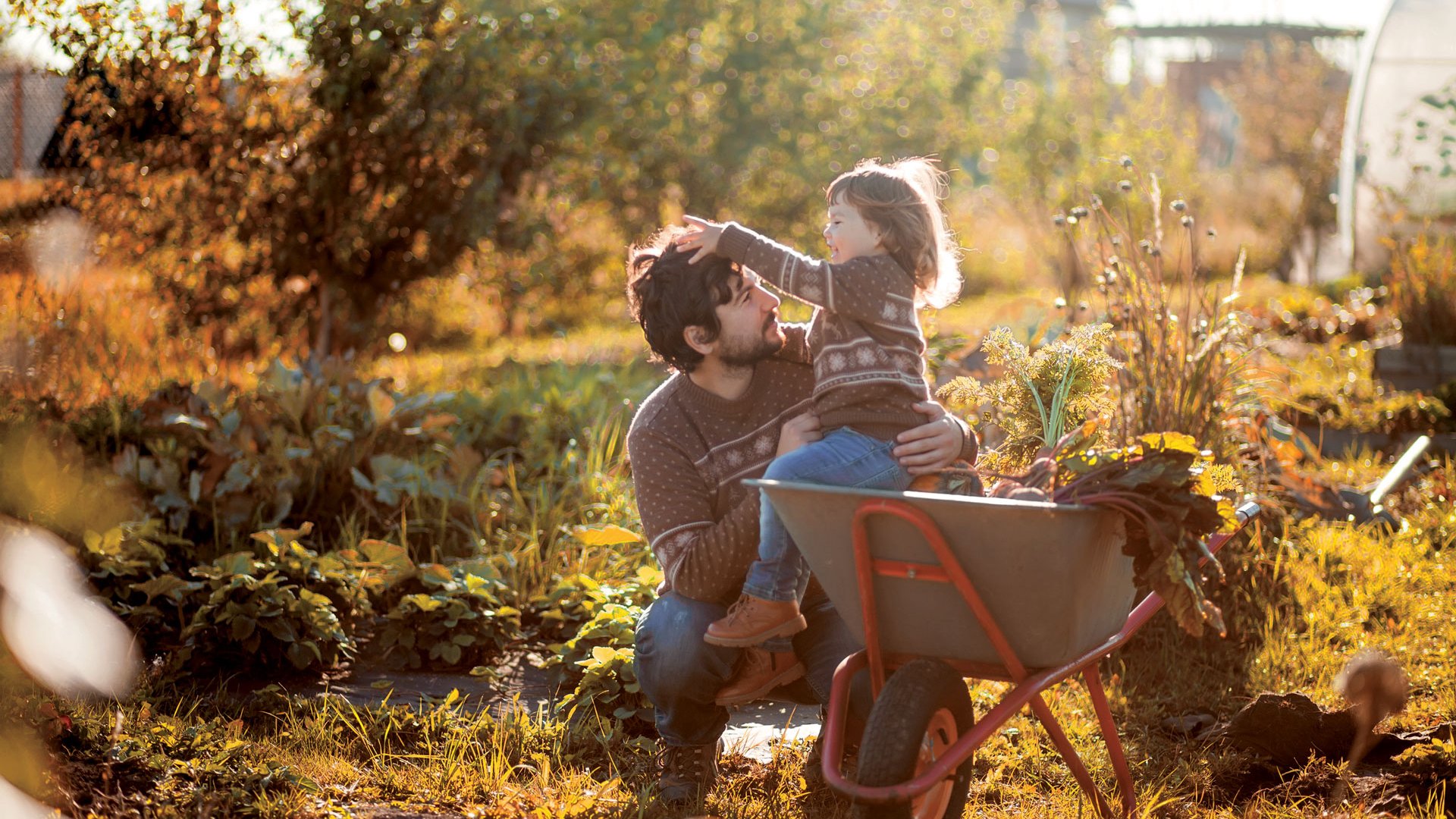 L’automne est la saison idéale pour planter