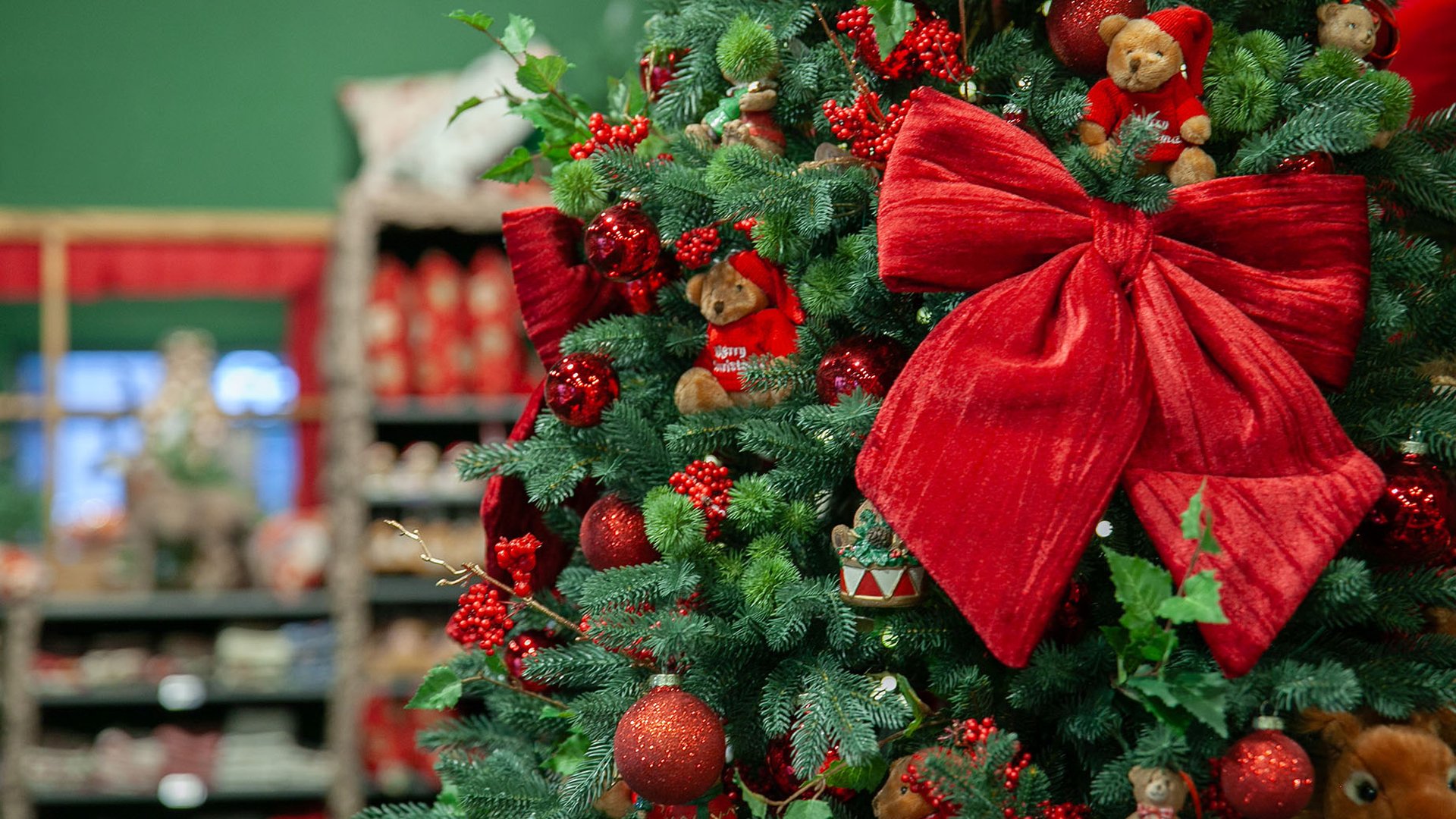 Le sapin se pare de magie