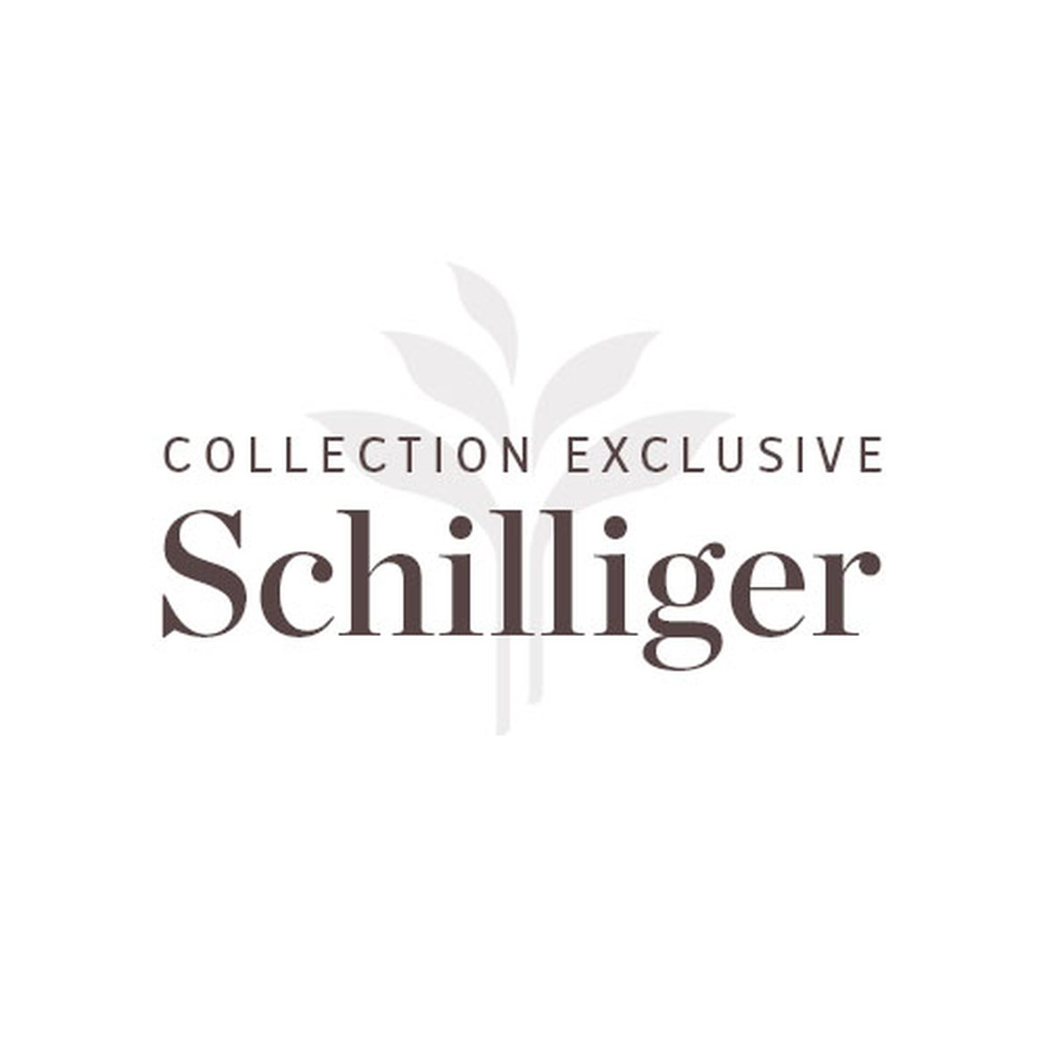 Collection exclusive Schilliger