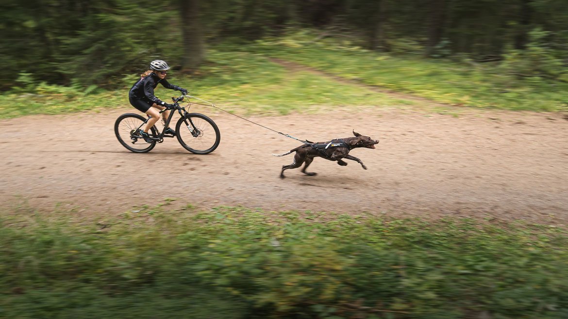 Faire du sport avec son chien