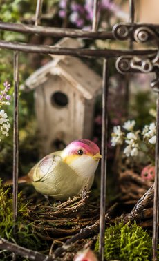 Atelier enfant - Cage à oiseaux