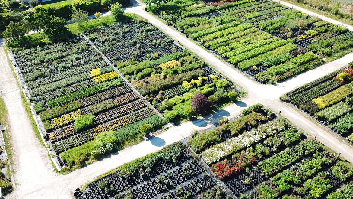 Tout savoir sur la production horticole et de pépinière chez Schilliger