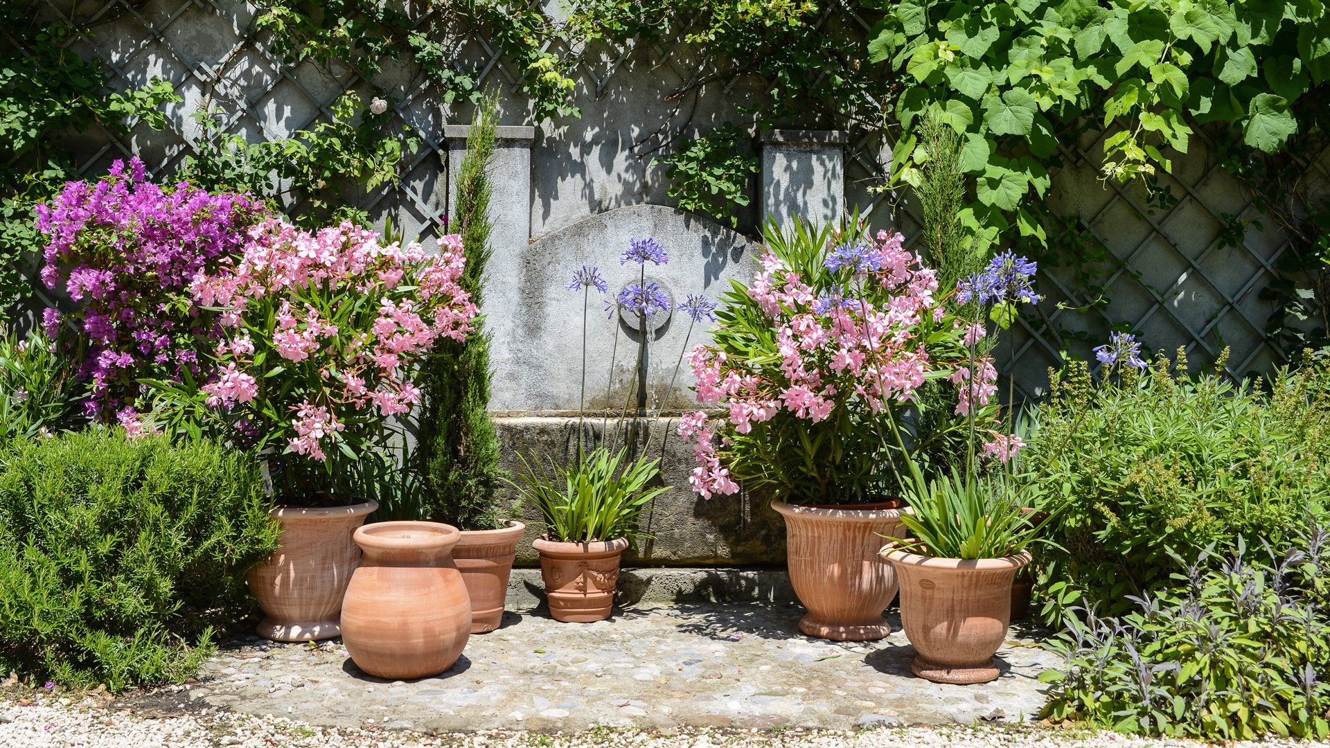 Nos services pour vos plantes