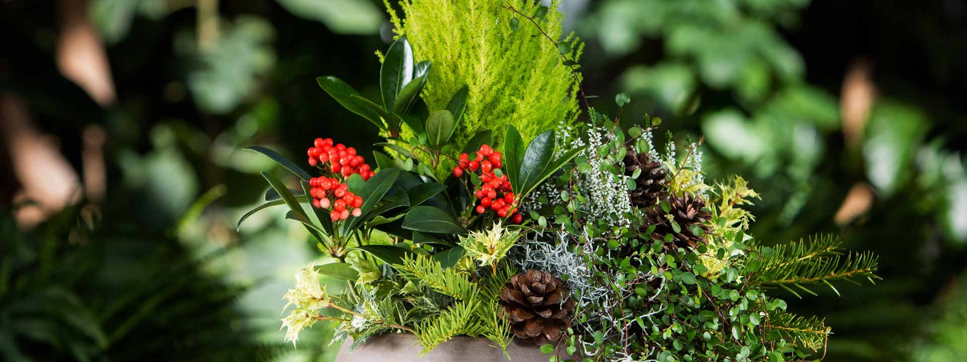 Comment vous constituer un balcon unique avec des plantes d’automne originales