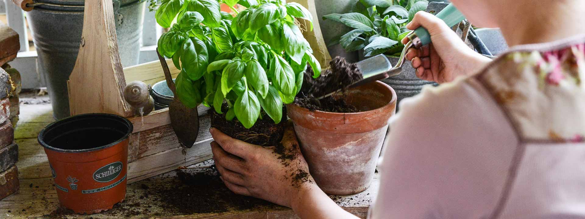 Quel matériel utiliser pour créer son potager de balcon ?