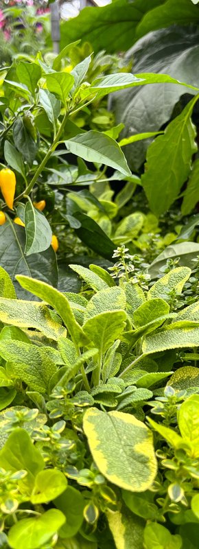 Pour patienter, apprenez-en plus sur notre production locale