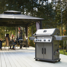 Barbecues & planchas