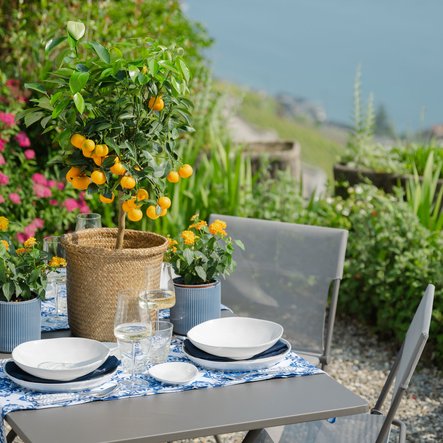 Tables dressées et art de la table